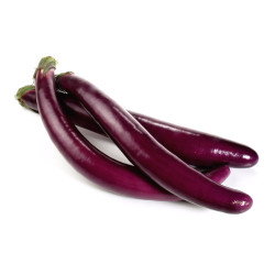 AUBERGINE LONGUE 5KG